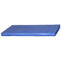 Materassino Kinefis rivestito in tela plastificata con maniglie e angoli rinforzati - Blu (96 x 60 cm) Materassino Kinefis rivestito in tela plastificata con maniglie e angoli rinforzati - Blu (96 x 60 cm)